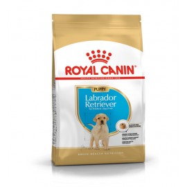 Сухой корм ROYAL CANIN Labrador Junior- корм для щенков Лабрадоров 3 кг