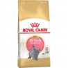 Сухой корм ROYAL CANIN Kitten British Shorthair - корм для Британских котят 2 кг