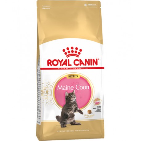 Сухой корм ROYAL CANIN KITTEN MAINE COON для котят породы Мэйн Кун (0,4 кг.)