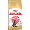 Сухой корм ROYAL CANIN KITTEN MAINE COON для котят породы Мэйн Кун (4 кг.)