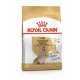 Сухой корм ROYAL CANIN Yourkshire Agein (0,5 кг)