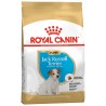 Сухой корм ROYAL CANIN Jack Russel Puppy - корм для щенков Джек Рассел терьеров 0,5 кг