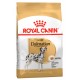 Сухой корм ROYAL CANIN Dalmatian Adult, для далматинцев (12 кг)