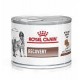 Влажный корм ROYAL CANIN RECOVERY Fel/Can - диета для собак и кошек в период выздоровления 0,195 кг
