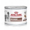 Влажный корм ROYAL CANIN RECOVERY Fel/Can - диета для собак и кошек в период выздоровления 0,195 кг