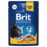 Brit Premium д/кошек Salmon & Trout Лосось и форель, 85г