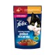 Влажный корм Felix Двойная вкуснятина для взрослых кошек, с говядиной и домашней птицей в желе 75 гр