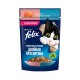 Влажный корм Felix Двойная Вкуснятина для взрослых кошек, с лососем и форелью в желе 