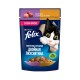 Влажный корм Felix Двойная вкуснятина для взрослых кошек, с ягненком и курицей в желе 75г