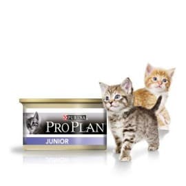 Pro Plan Корм консервированный для котят с курицей (банка) (0,085 кг.)