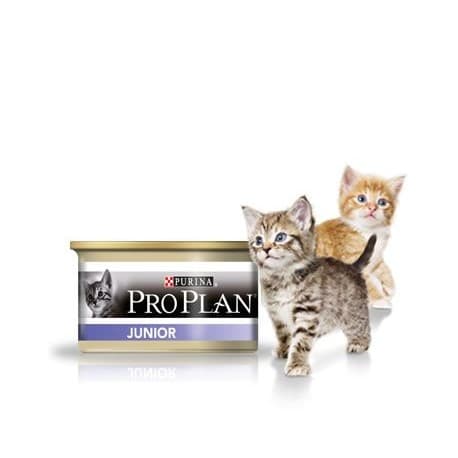Pro Plan Корм консервированный для котят с курицей (банка) (0,085 кг.)
