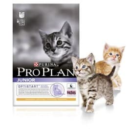 Pro Plan Корм сухой полнорацион. для котят с чувств. пищев. или с особ. предпоч. в еде с индейкой. (10 кг.)