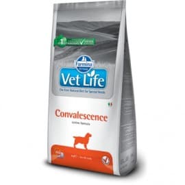 Vet Life Dog Convalescence / Диетическое питание собак в период выздоровления 2кг