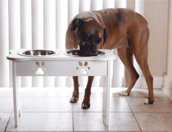миска на подставке для собак