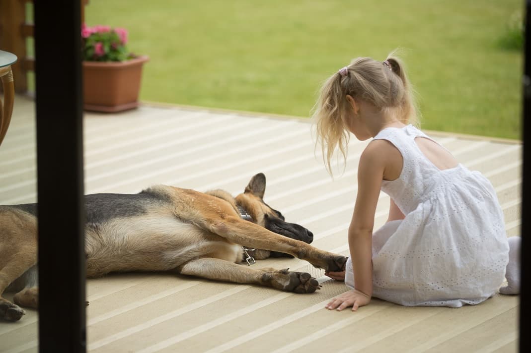 ребенок с собакой