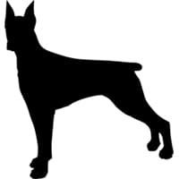 Логотип бренда dogman